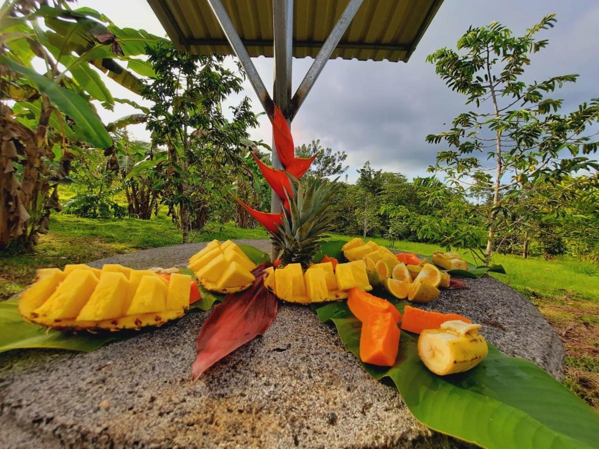 Cabanas Montanas Del Tenorio Rio Celeste エクステリア 写真