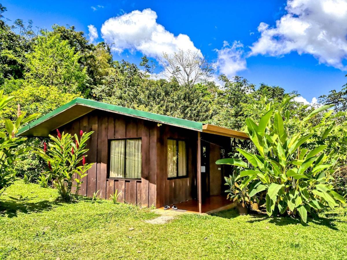 Cabanas Montanas Del Tenorio Rio Celeste エクステリア 写真