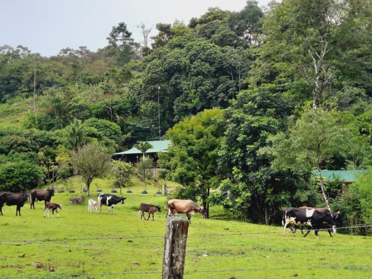 Cabanas Montanas Del Tenorio Rio Celeste エクステリア 写真