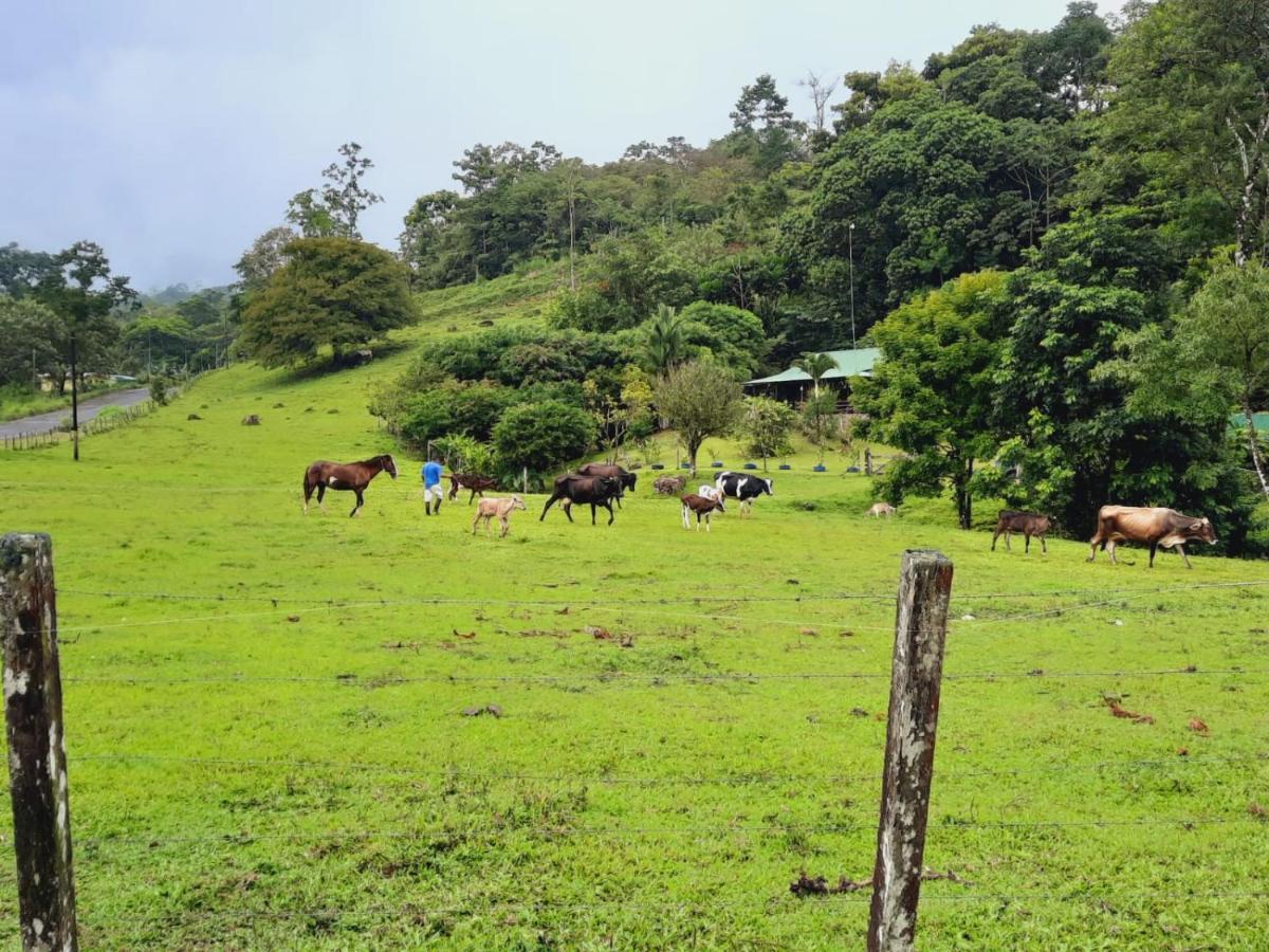 Cabanas Montanas Del Tenorio Rio Celeste エクステリア 写真